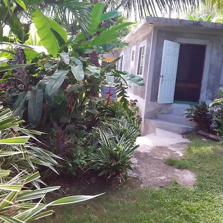 Port Antonio Brian'S Beach House Екстериор снимка