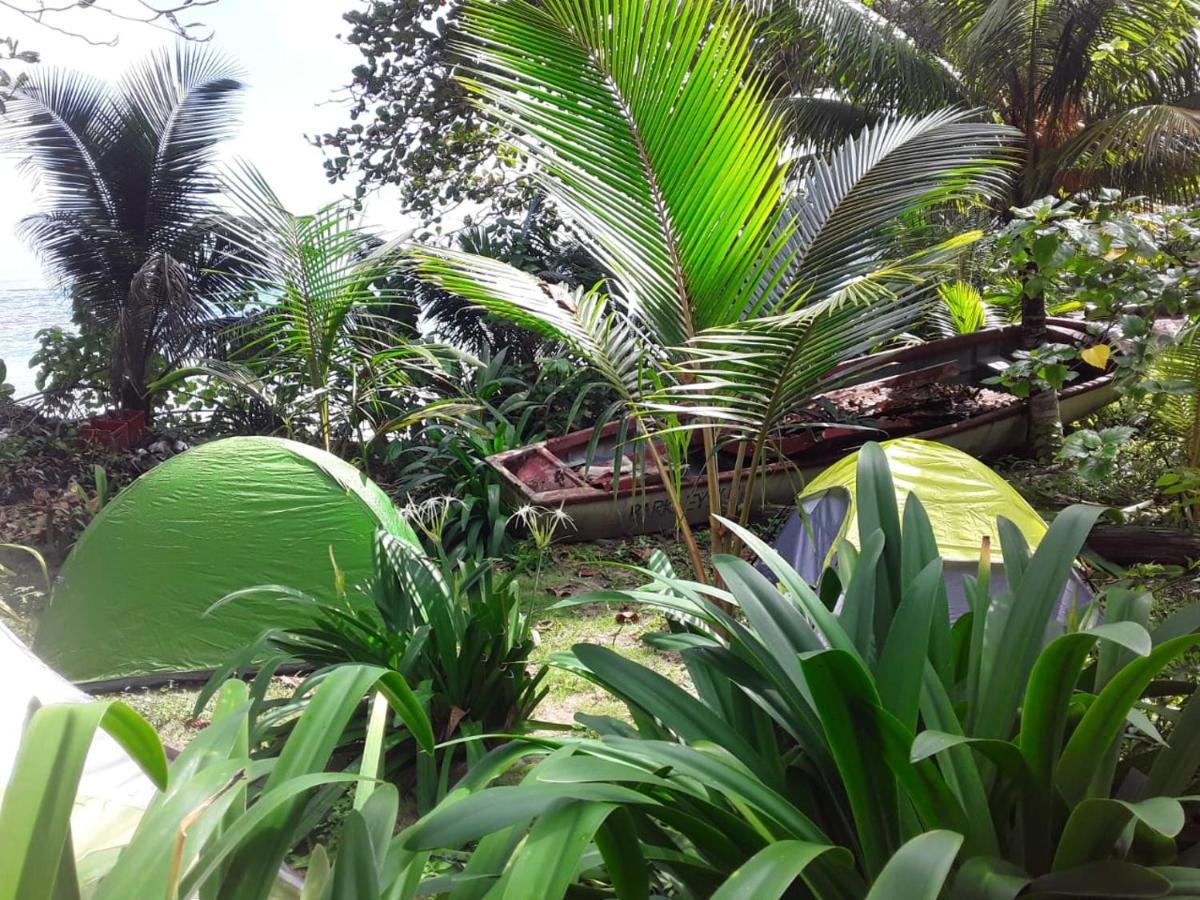 Port Antonio Brian'S Beach House Екстериор снимка