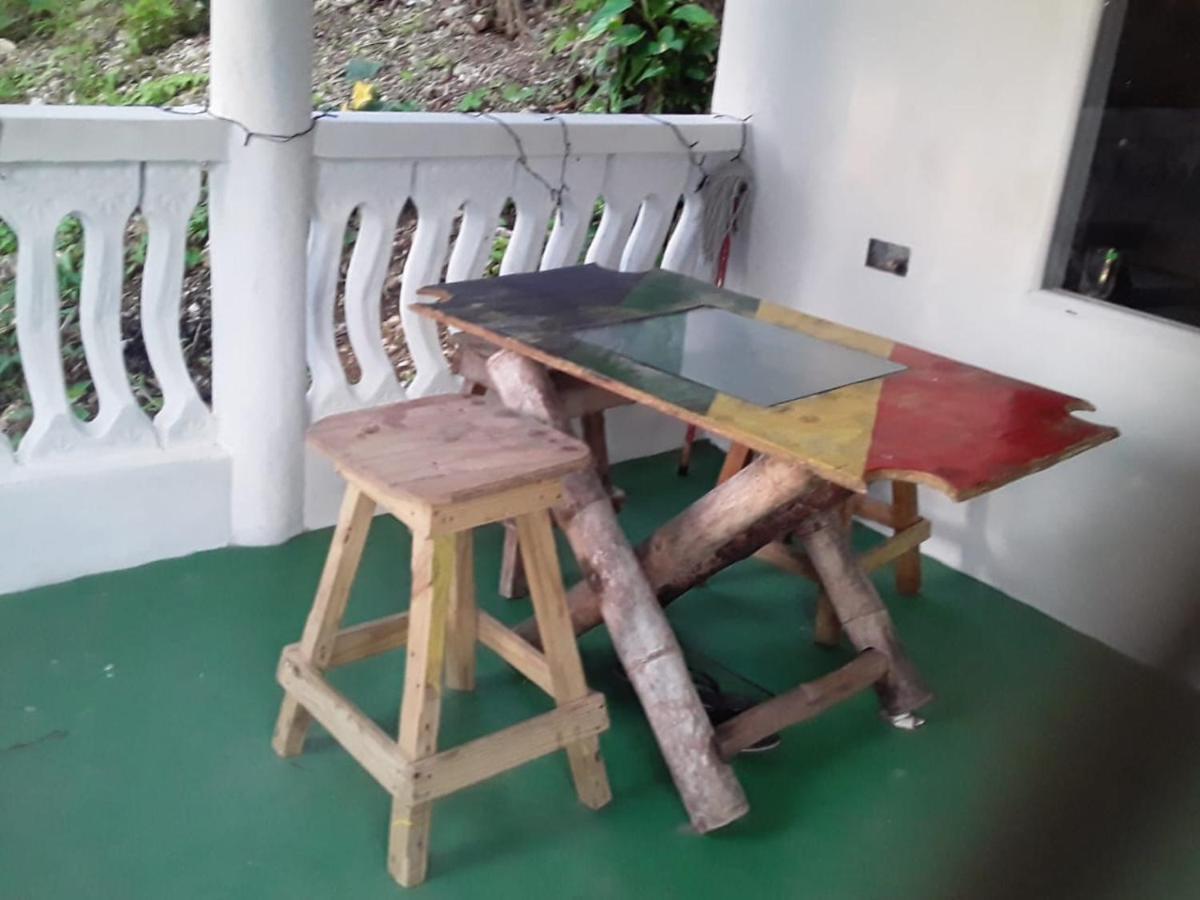 Port Antonio Brian'S Beach House Екстериор снимка
