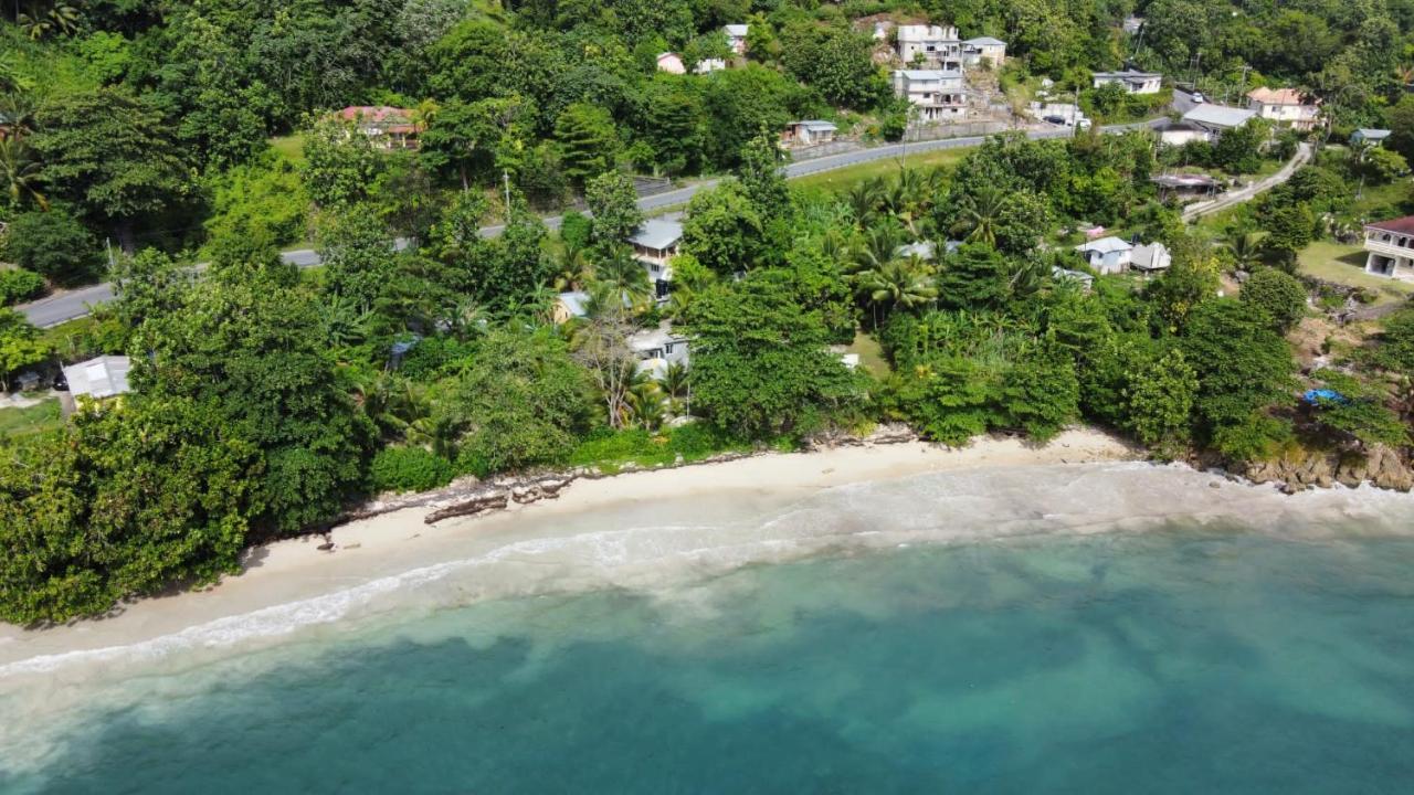 Port Antonio Brian'S Beach House Екстериор снимка