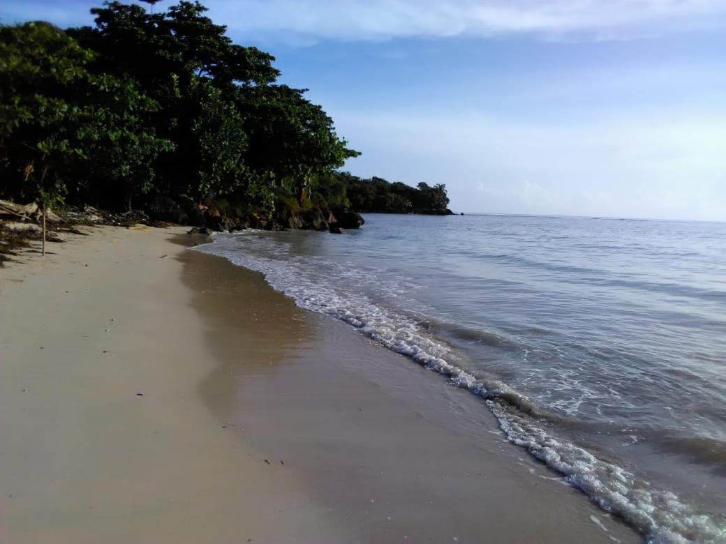 Port Antonio Brian'S Beach House Екстериор снимка
