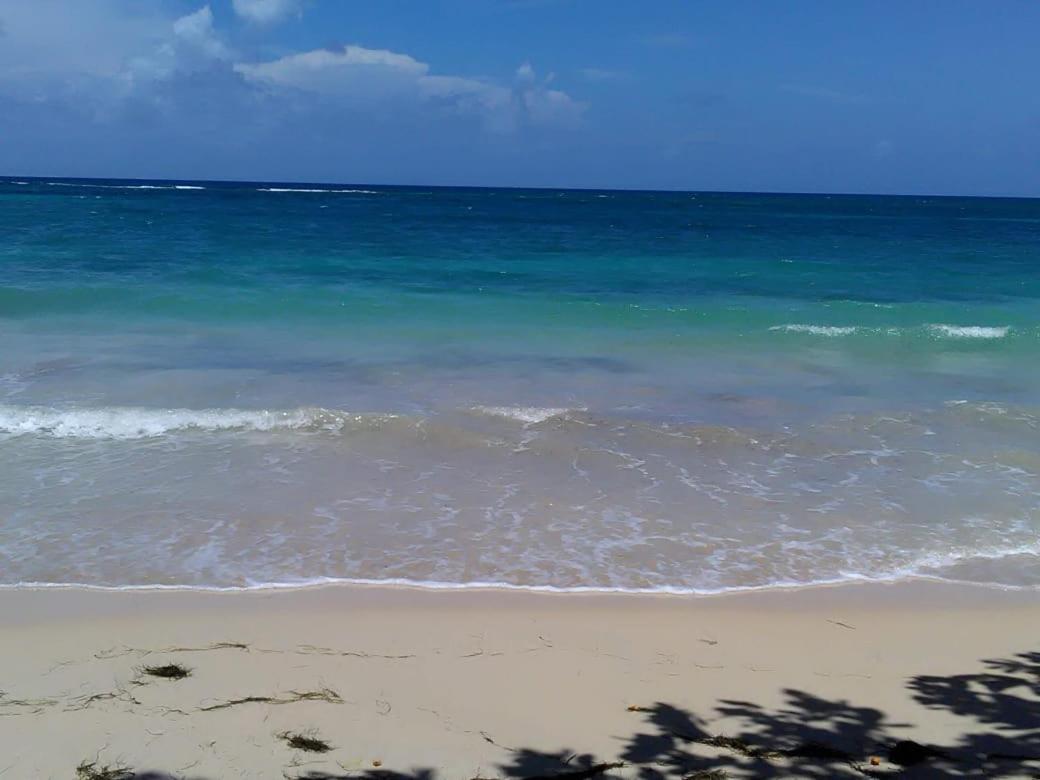 Port Antonio Brian'S Beach House Екстериор снимка