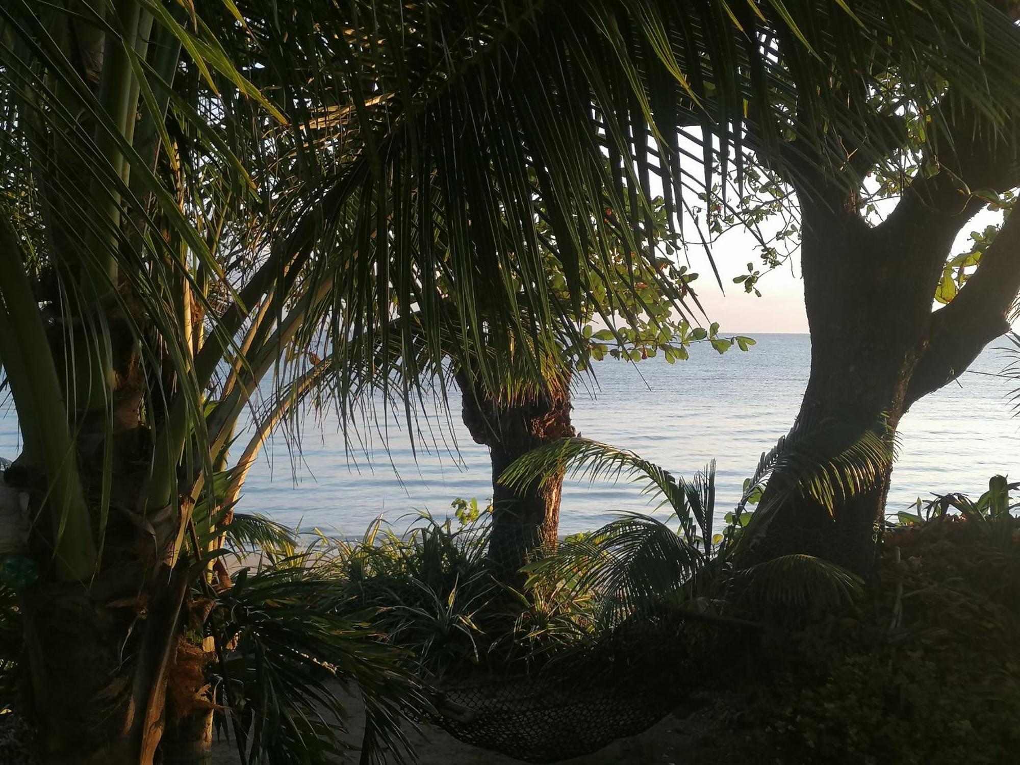 Port Antonio Brian'S Beach House Екстериор снимка