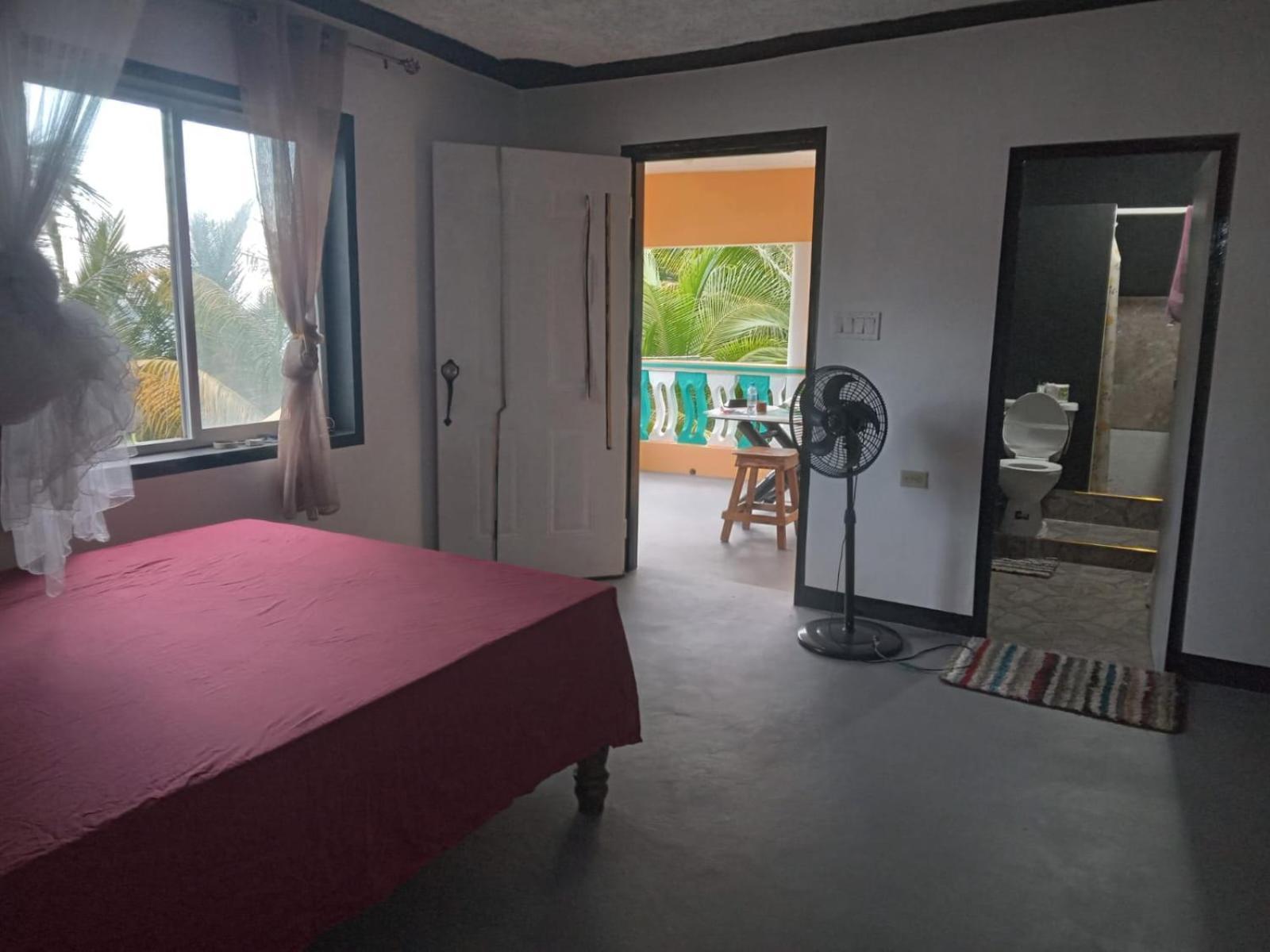 Port Antonio Brian'S Beach House Стая снимка