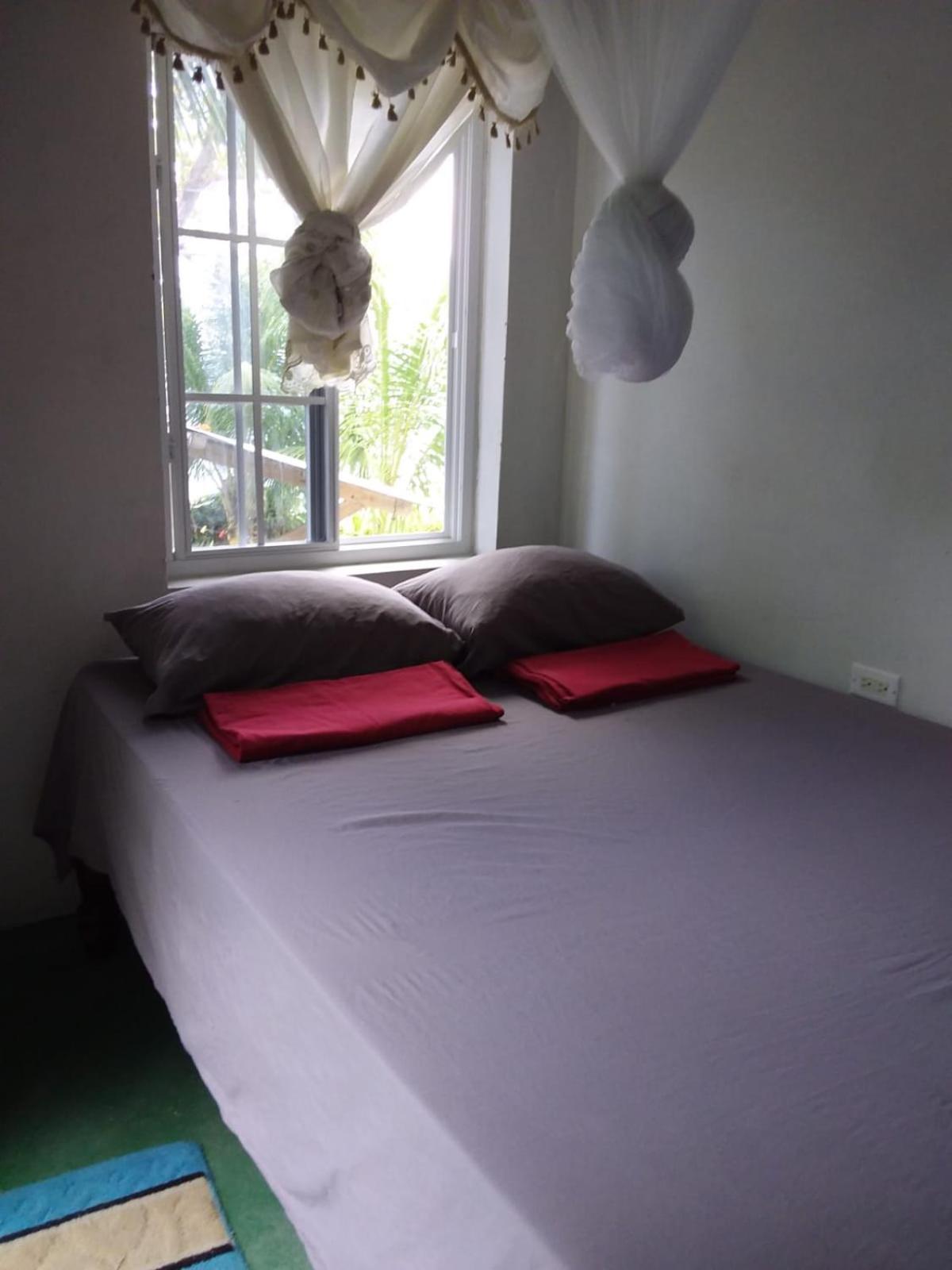 Port Antonio Brian'S Beach House Екстериор снимка