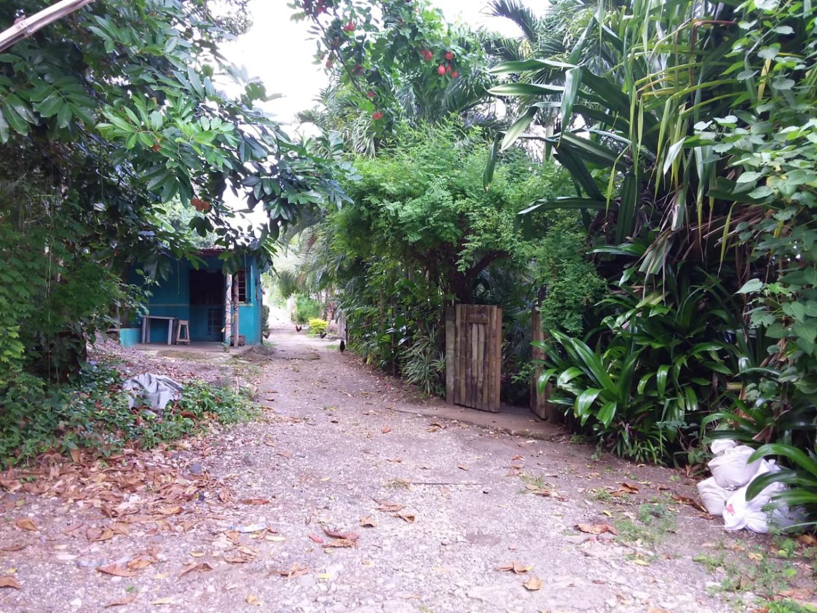 Port Antonio Brian'S Beach House Екстериор снимка