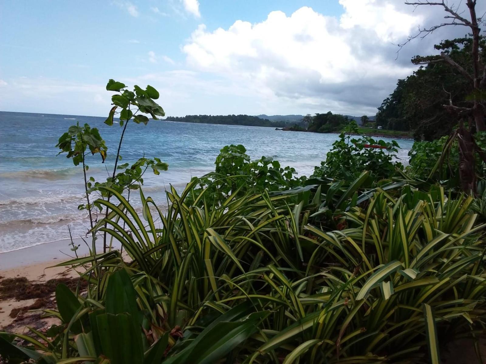 Port Antonio Brian'S Beach House Екстериор снимка